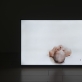 Laura Sabaliauskaitė, „Konfliktas", 2016, nuotr. A. Anksaičio