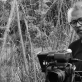Lav Diaz