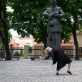 R. Šeškaičio nuotr.