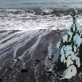Aurelija Maknytė, „Eglutė“, iš „Islandijos triptiko“. 2016 m.