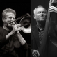 Joe McPhee, Steve Swell, Mark Tokar, Klaus Kugel. Organizatorių nuotr.  