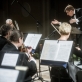  Nicholas Miltonas ir Lietuvos kamerinis orkestras. LNF archyvo  nuotr.