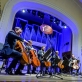„Polish Cello Quartet“ ir „Cello Club“. D. Matvejevo nuotr.
