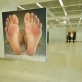 Ray Bartkus „Pusiausvyra“. Fragmentas. 2012 m. J. Lapienio nuotr.