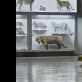 „Animus animalis (istorija apie žmones, žvėris ir daiktus)“