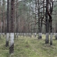 Tomas Martišauskis, „Nusavinti“ instaliacijos fragmentas. 2023 m. K. Dineikaitės nuotr.