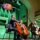„Polish Cello Quartet“. D. Matvejevo nuotr.