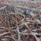Valdemaras Šemeška, „Vynuogės žiemą III”. 2017 m.