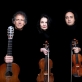 „Paganini Ensemble Wien“. Organizatorių nuotr.