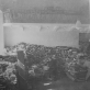 Sovietų valdžios paruoštos sudeginti knygos Mokslų akademijos Centrinėje bibliotekoje, 1941 m.