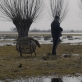 Kadras iš Algimanto Puipos filmo „Kita tylos pusė“