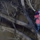 Kadras iš filmo „Nemeilė“