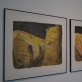  Jolantos Mikulskytės parodos „Vis drumstas vanduo“ fragmentas. Autoriaus nuotr.