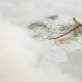 Laure Prouvost, „Būdas tekėti, laižyti, tekėti“. 2016 m. A. Vasilenko nuotr.