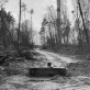 „<i>Heimat</i> yra erdvė laike“