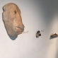 Rūta Spelskytė, ekspozicijos fragmentas. M.K. nuotr.