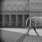 „Laikas eina per miestą“