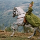 „Princesė de Monpensjė“